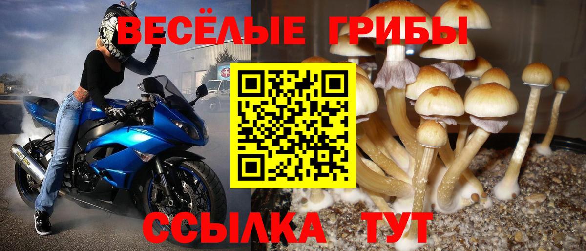 Псилоцибиновые грибы Magic Shrooms Старый Оскол