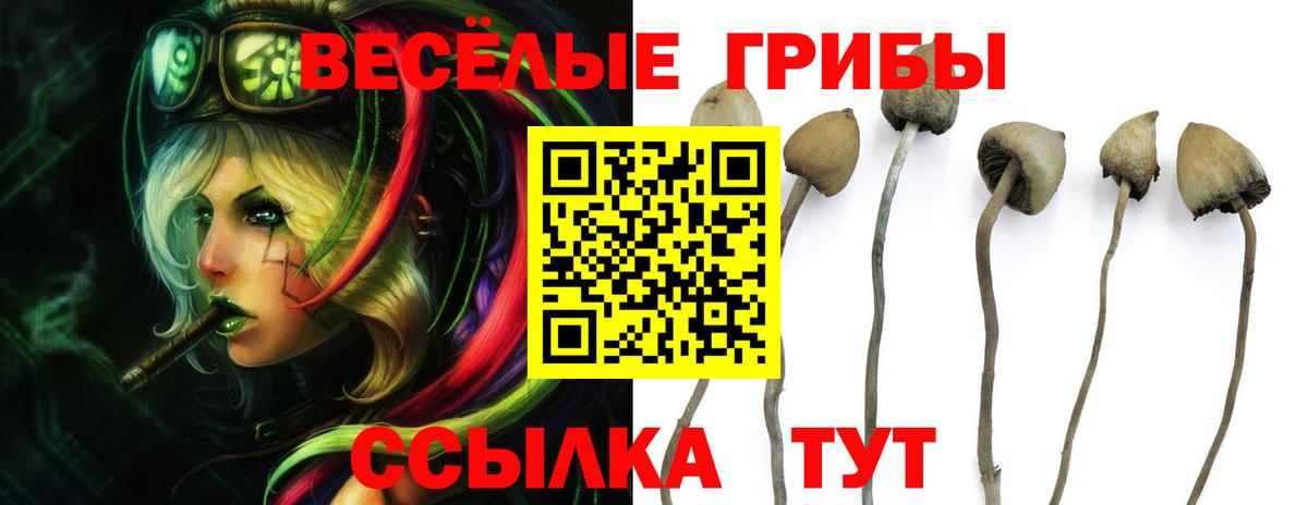 Галлюциногенные грибы прущие грибы  Вход с VPN  закладки  Галлюциногенные грибы ЛСД  Старый Оскол 